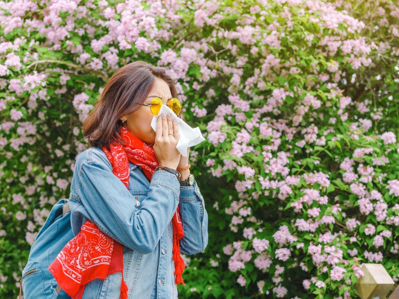 Asthma vs. Seasonal Allergies EmblemHealth